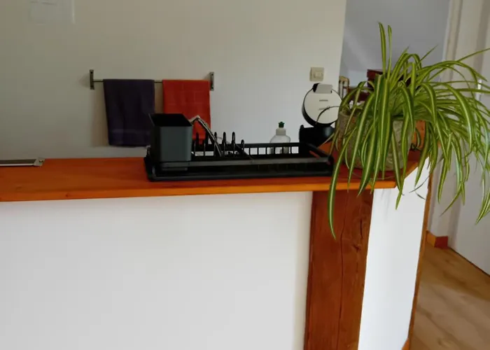 Appartement Les Hirondelles